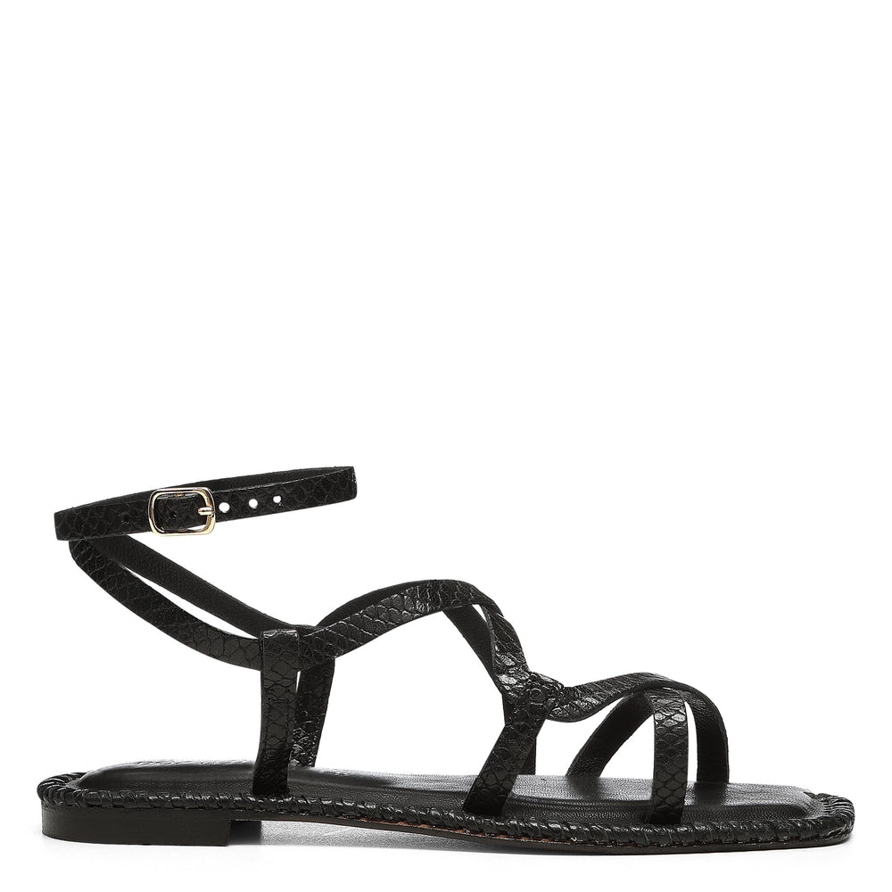 EMILIA | Donald Pliner Women Shoes Black