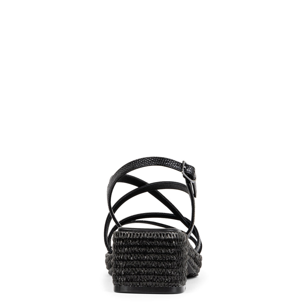 ROSALIE | Donald Pliner Women Shoes Black