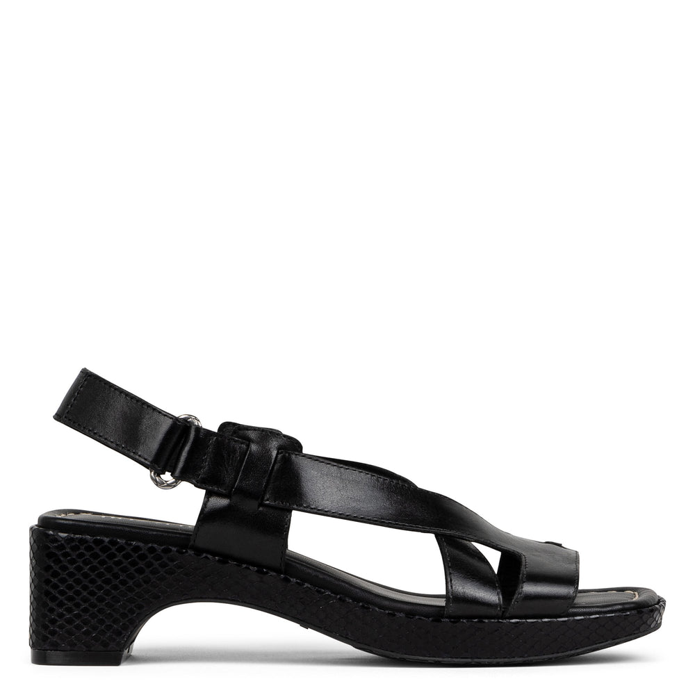 ROMIN | Donald Pliner Women Shoes Black