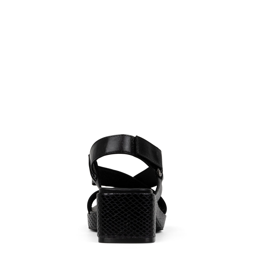 ROMIN | Donald Pliner Women Shoes Black