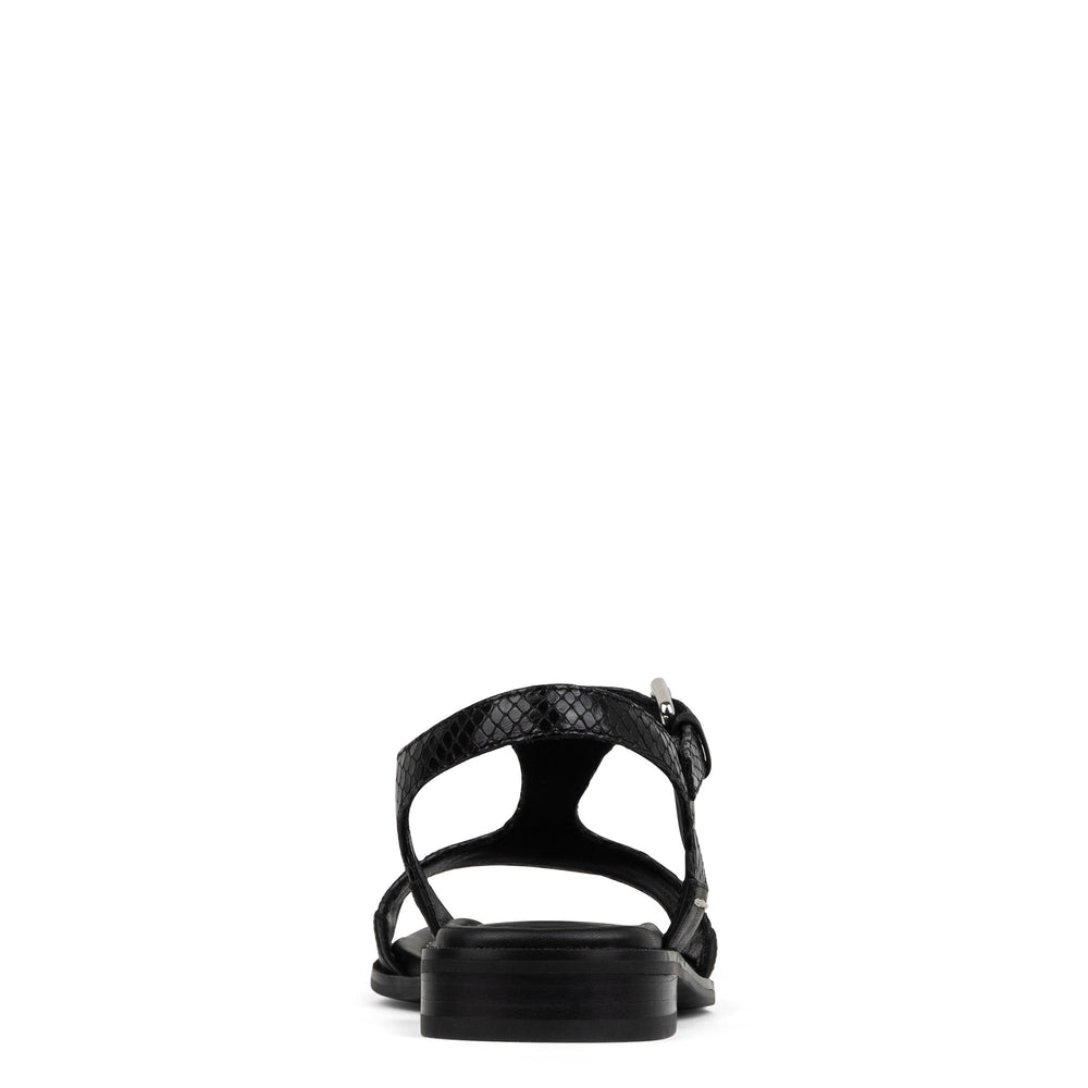 DRIA | Donald Pliner Women Shoes Black