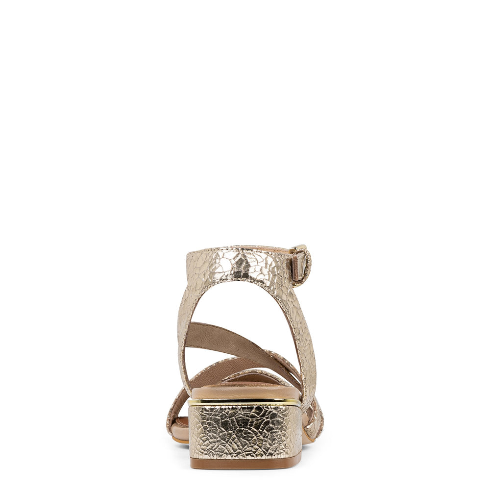 FRANNIE | Donald Pliner Women Shoes Platino