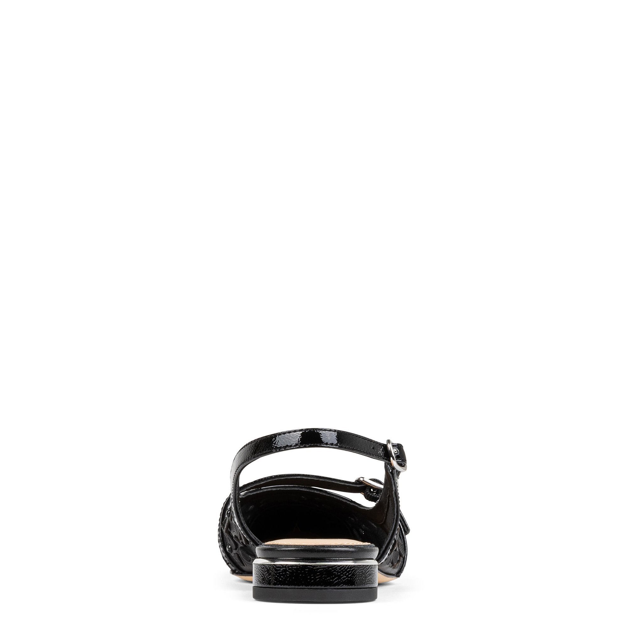 ROZAMAY | Donald Pliner Women Shoes Black