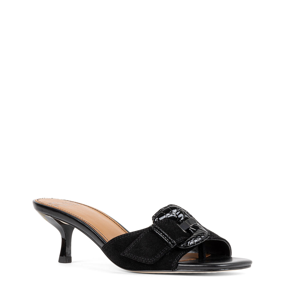 CHERRY | Donald Pliner Women Shoes Black Suede