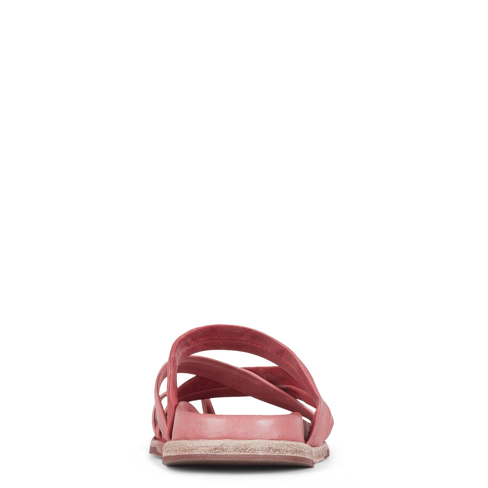DEVANEE | Donald Pliner Women Shoes Pink