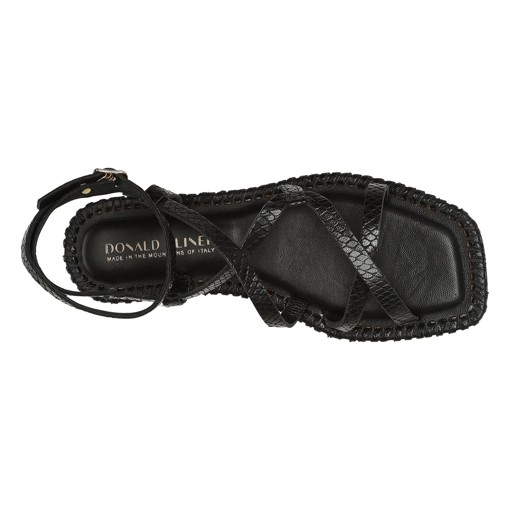 EMILIA | Donald Pliner Women Shoes Black