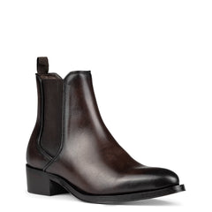ASHFORD | Donald Pliner Men Shoes Dark Brown