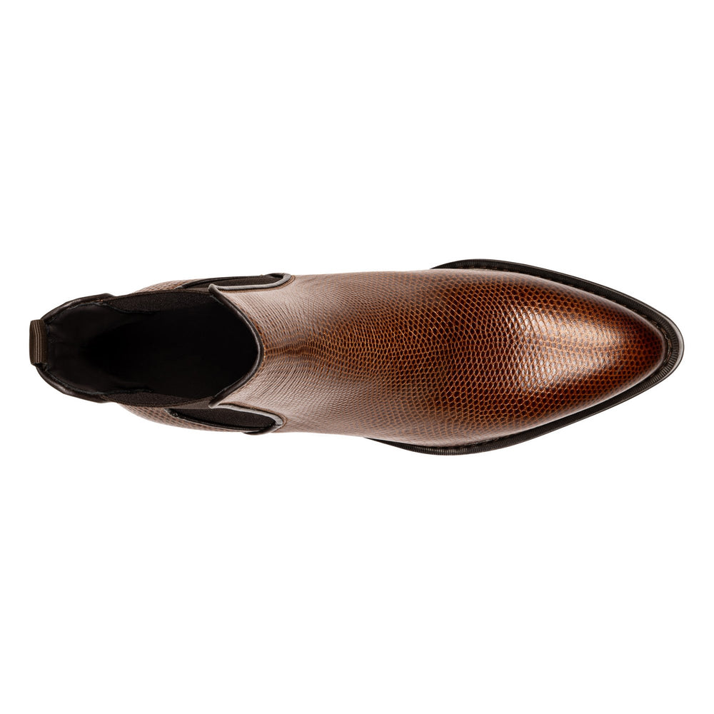 ASHFORD | Donald Pliner Men Shoes Whiskey