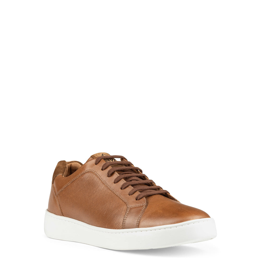 ARCHIE | Donald Pliner Men Shoes Saddle
